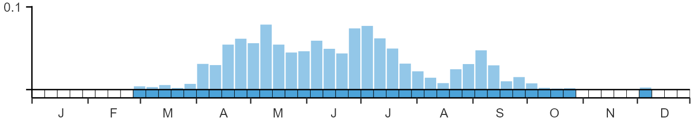 Weekly occurence of Black-winged Stilt from BirdTrack