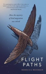 Flight Paths by Rebecca Heisman