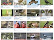 Bird identification videos from BTO