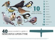 Garden Bird Feeding Survey 2016-17