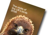 State of UK Birds 2016 cover
