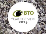 BTO Highlights 2019