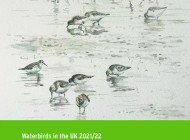Waterbirds in the UK 21/22 Cover