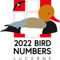 Bird Numbers 2022 Logo. 