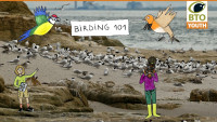 birding_101_7.jpg