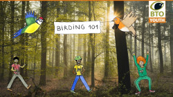 birding_101_2.jpg