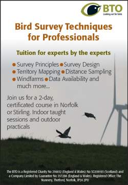 Professional course advert