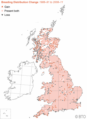 Tawny Owl Breeding Distribution Change between the 1988-91 and 2008-2011 Bird Atlases