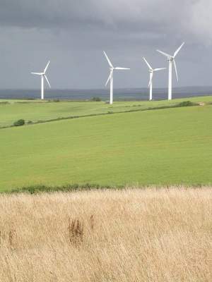 Wind Farm - Dawn Balmer
