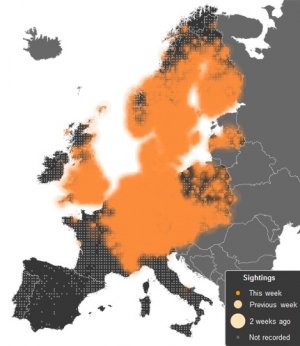 Lesser Whitethroat EBP map