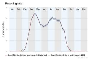 Sand Martin Reporting Rate 