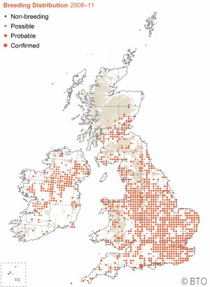 Great Crested Grebe breeding distribution 2008-11