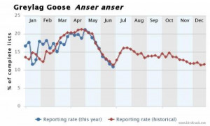 Greylag Goose reporting rate