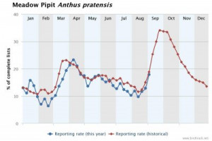 Meadow Pipit reporting rate