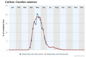 BirdTrack reporting rate for Cuckoo