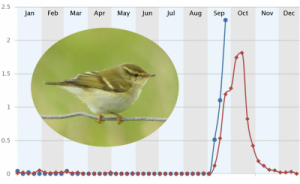 Reporting rate of Yellow-browed Warbler (Blue = Current Trend, Red = Historic)