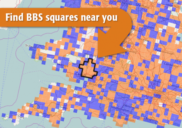 bbs square signup map