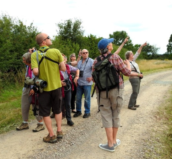 Looking out for Osprey at the Birdfair