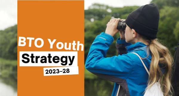 BTO Youth Strategy