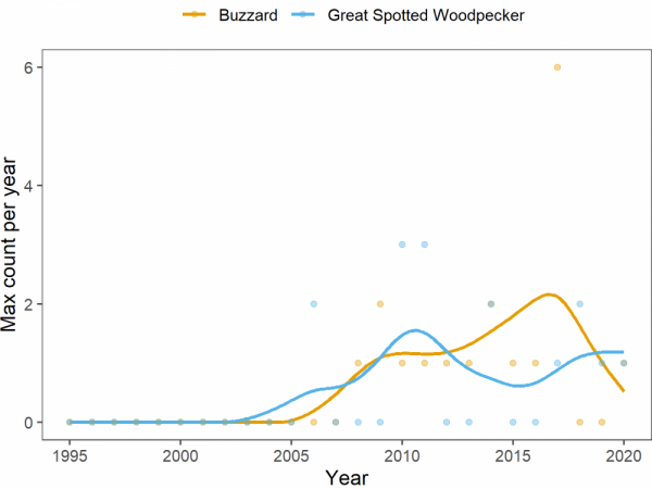 A graph showing the number of buzzards and greater spotted woodpeckers 1995 to 2021