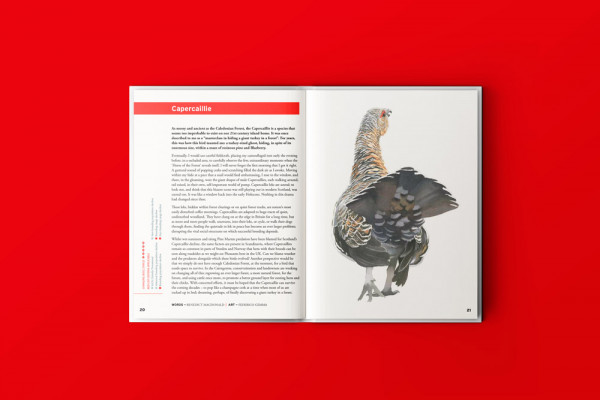 Capercaillie. Words by Benedict Macdonald; art by Federico Gemma  