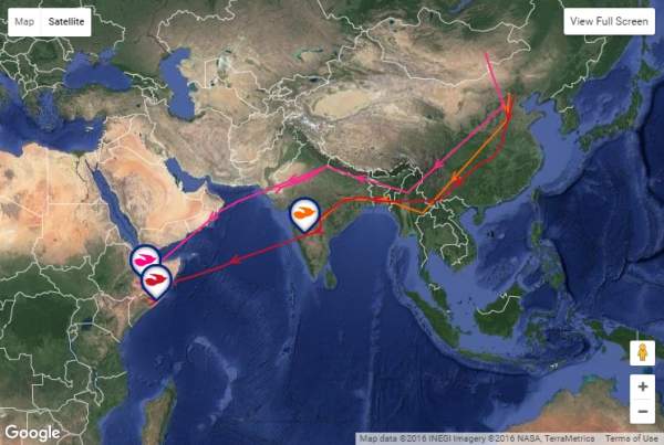 Chinese Cuckoo journeys
