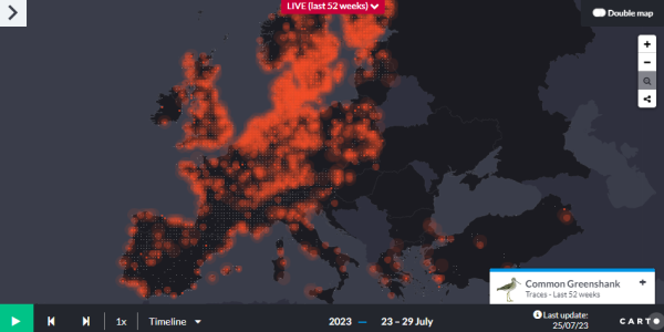 BirdTrack data are used by EuroBirdPortal’s mapping tool, to visualise birds’ migration across Europe in real-time.