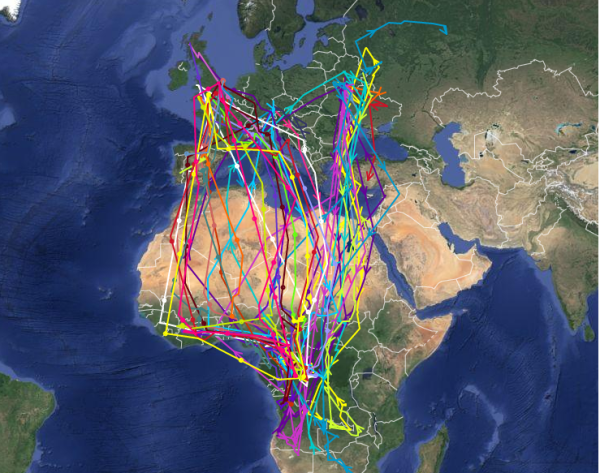 UK and European Cuckoo routes