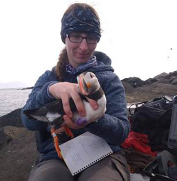 Fionnuala examining a Puffin while helping the Norwegian polar Institute with their population monitoring schemes in Svalbard, Arctic Circle.