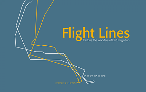 Flight Lines: Tracking the wonders of bird migration