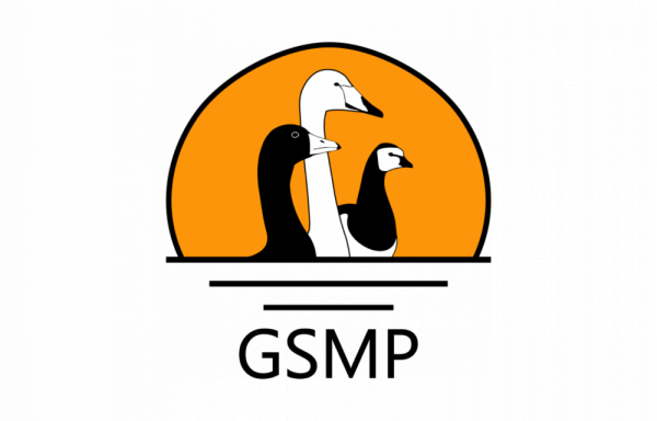 GSMP Logo