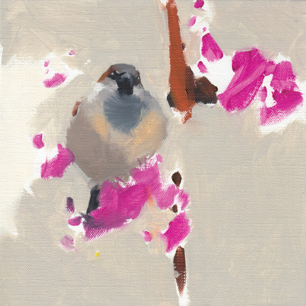 House Sparrow artwork by Esther Tyson 