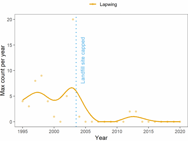 A graph showing the number of lapwing from 1995 to 2020