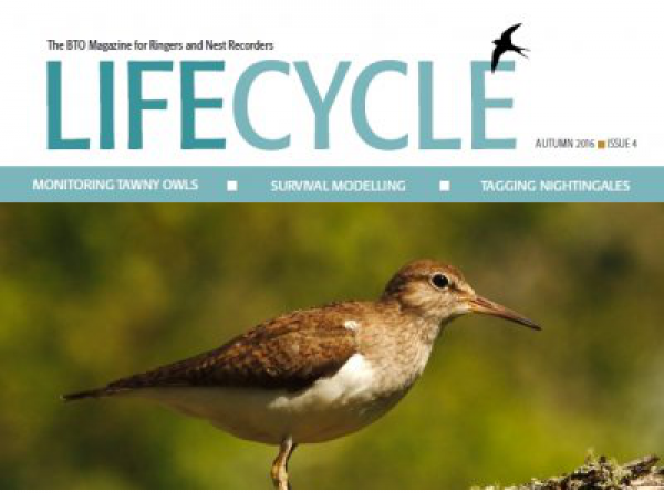 Life Cycle Issue 4