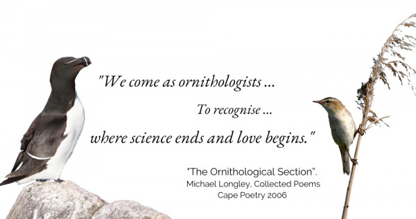 "We come as ornithologists …To recognise … Where science ends and love begins. "The Ornithological Section”. Michael Longley, Collected Poems, Cape Poetry 2006 