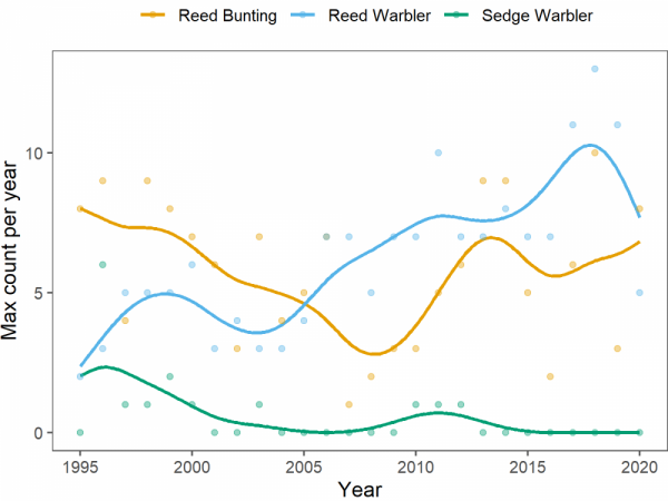 A graph showing the number of reedbed warblers 1995 to 2021