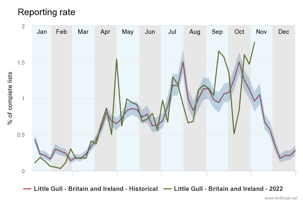 BirdTrack reporting rate for Little Gull in 2022 compared to previous years. There has been a sharp rise in records recently, above the average for this time of year. 