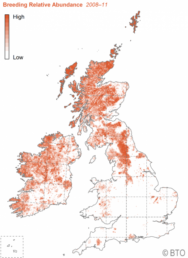 Snipe - Bird Atlas abundance and distribution map 2008-11