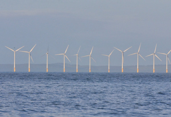 Wind farm, photograph by Tommy Holden