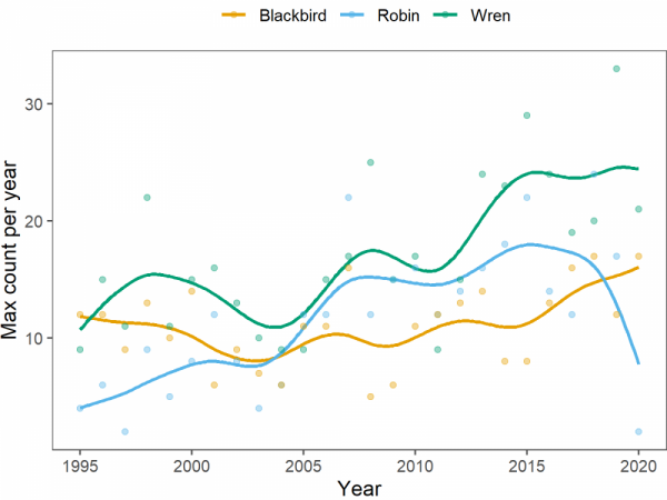 A graph showing the number of wrens, robins and blackbirds 1995 to 2021