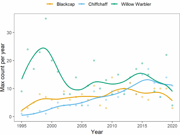 A graph showing the number of woodland warblers 1995 to 2021