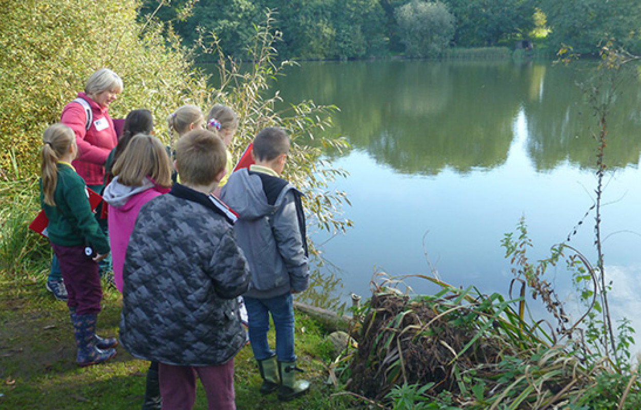 BTO Reserve - local school group visit