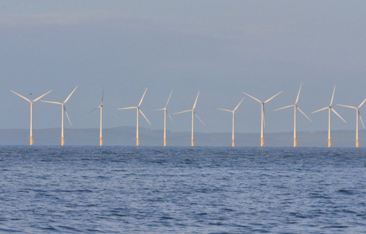 Wind farm, photograph by Tommy Holden