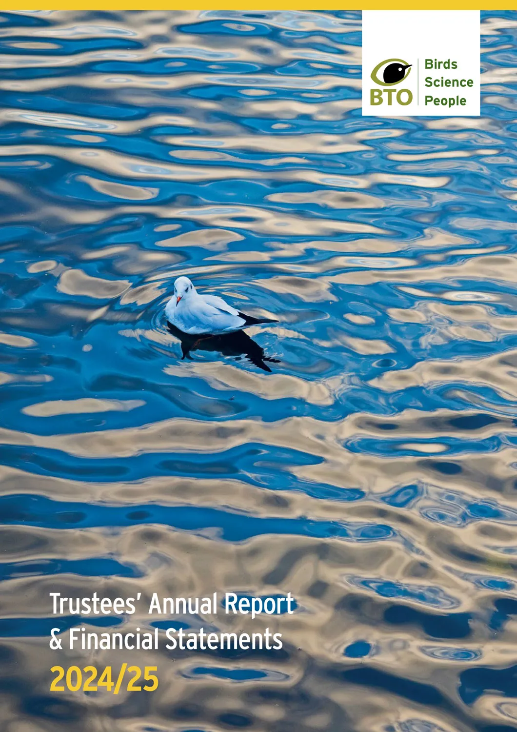 91st Annual Report and Accounts 2024/25