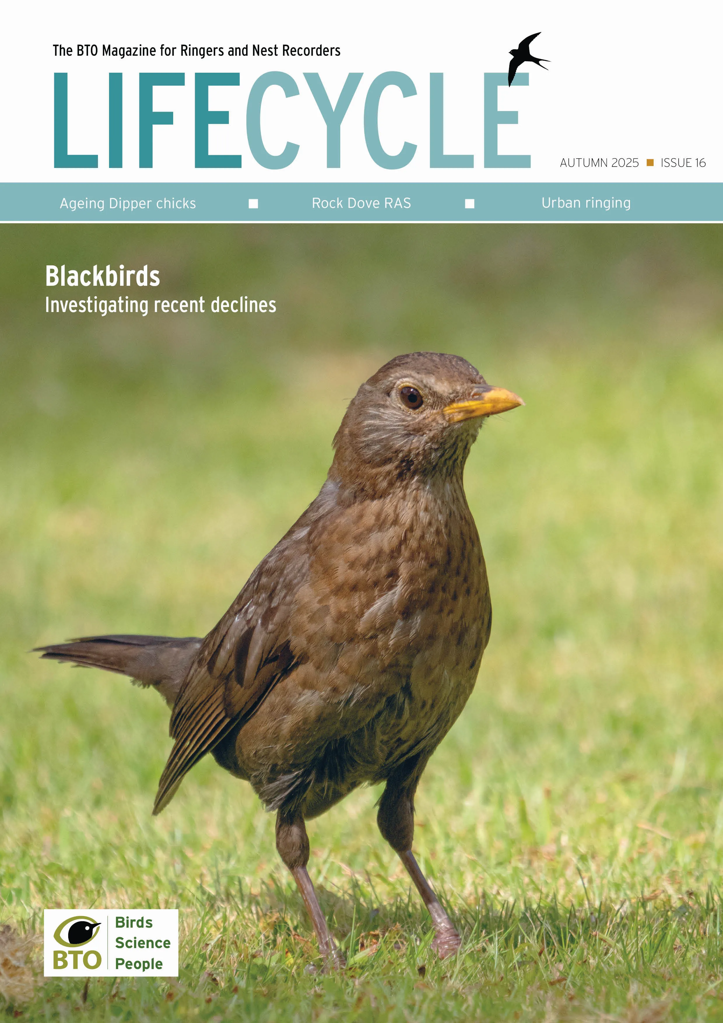 Issue 16, Autumn 2025