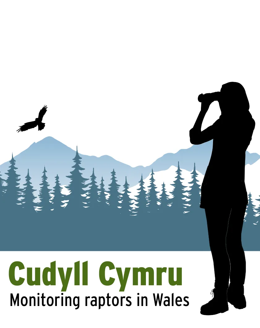 Help us monitor Welsh raptors
