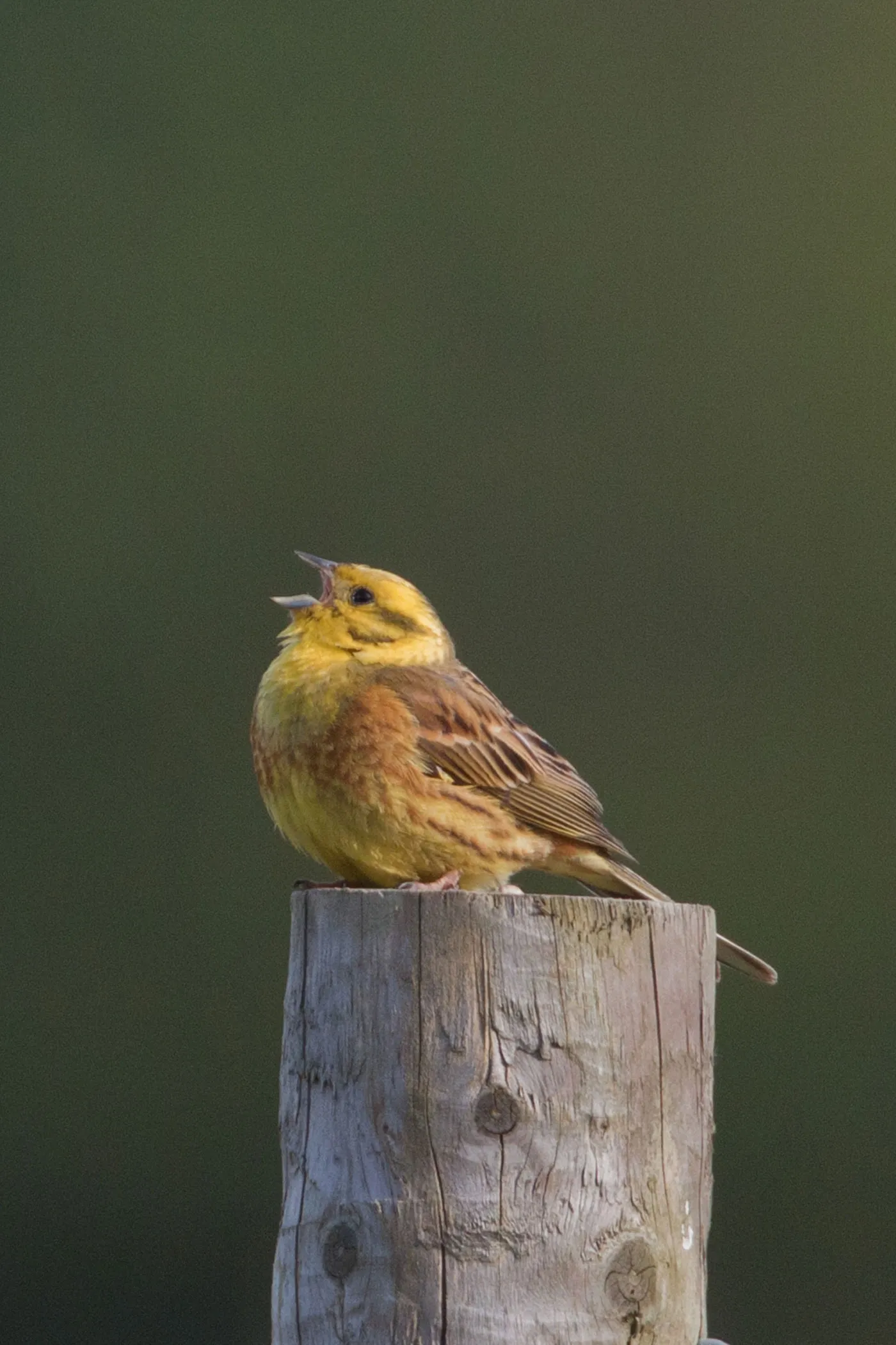 We’d love to hear from you