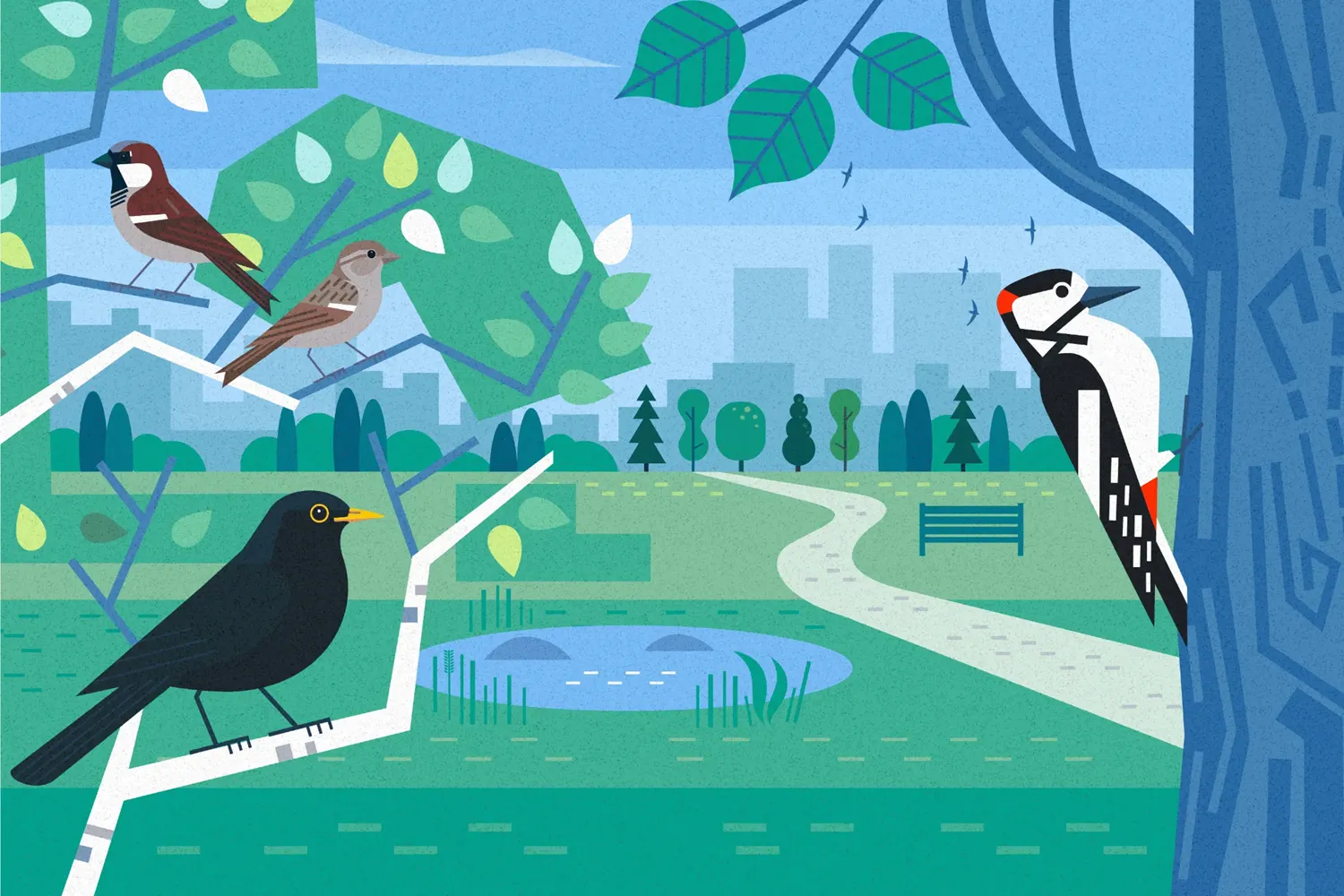 Birds in green spaces, by Will Rose