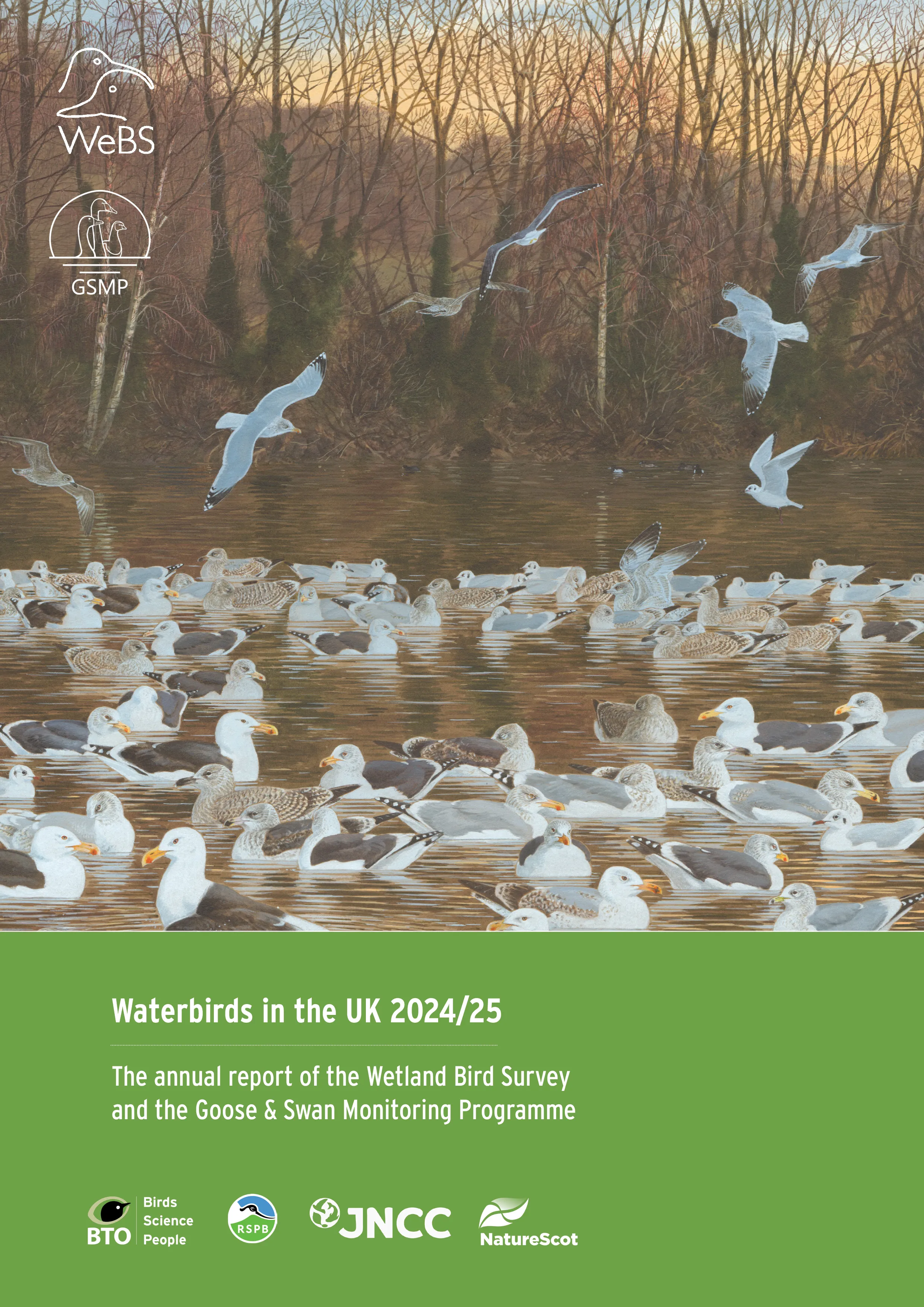 Waterbirds report published