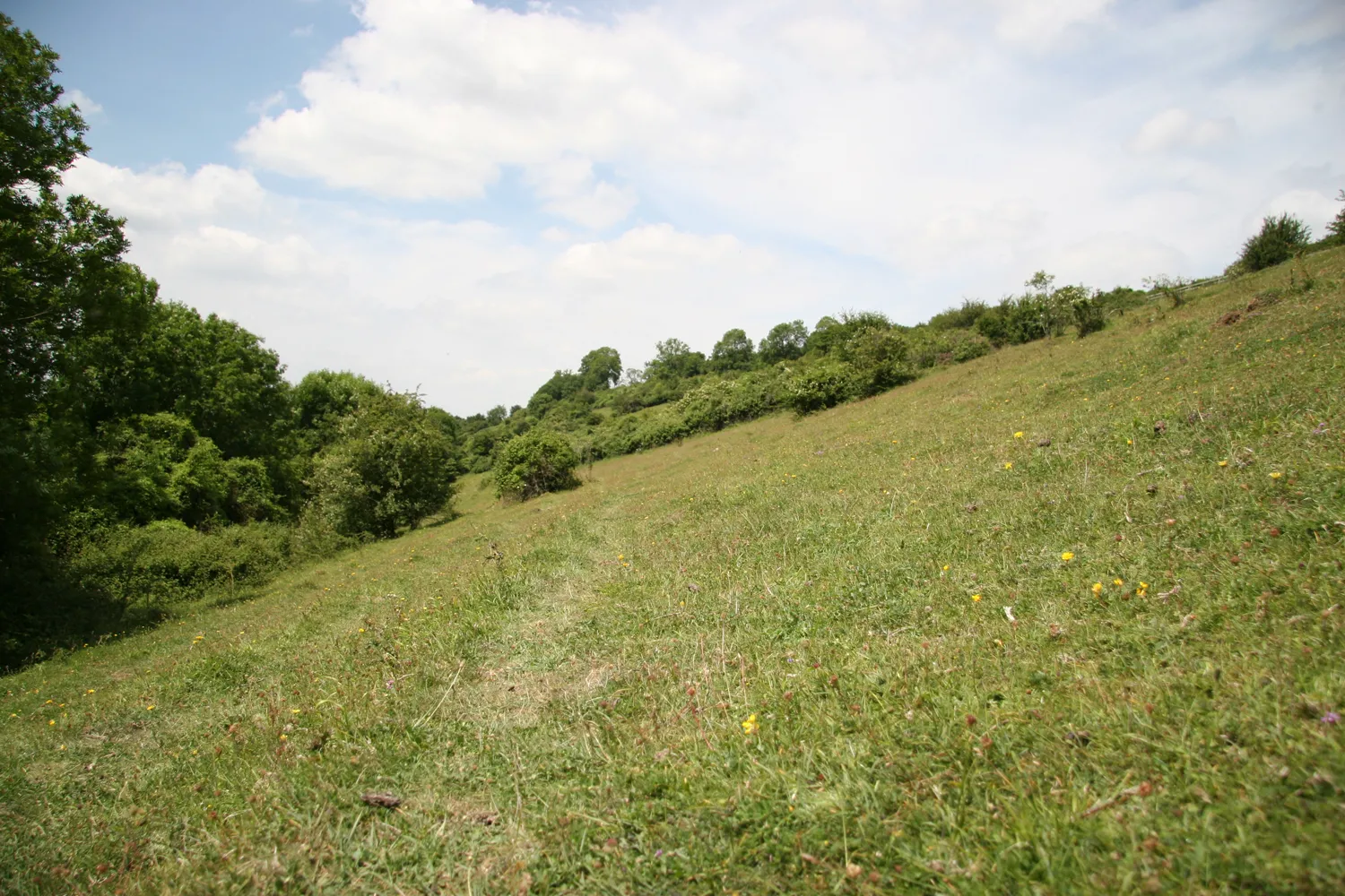 Green Down, Somerset, by Mike Toms / BTO